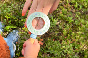 Screen-Free Fun in Nature: Outdoor Activities Kids Will Love