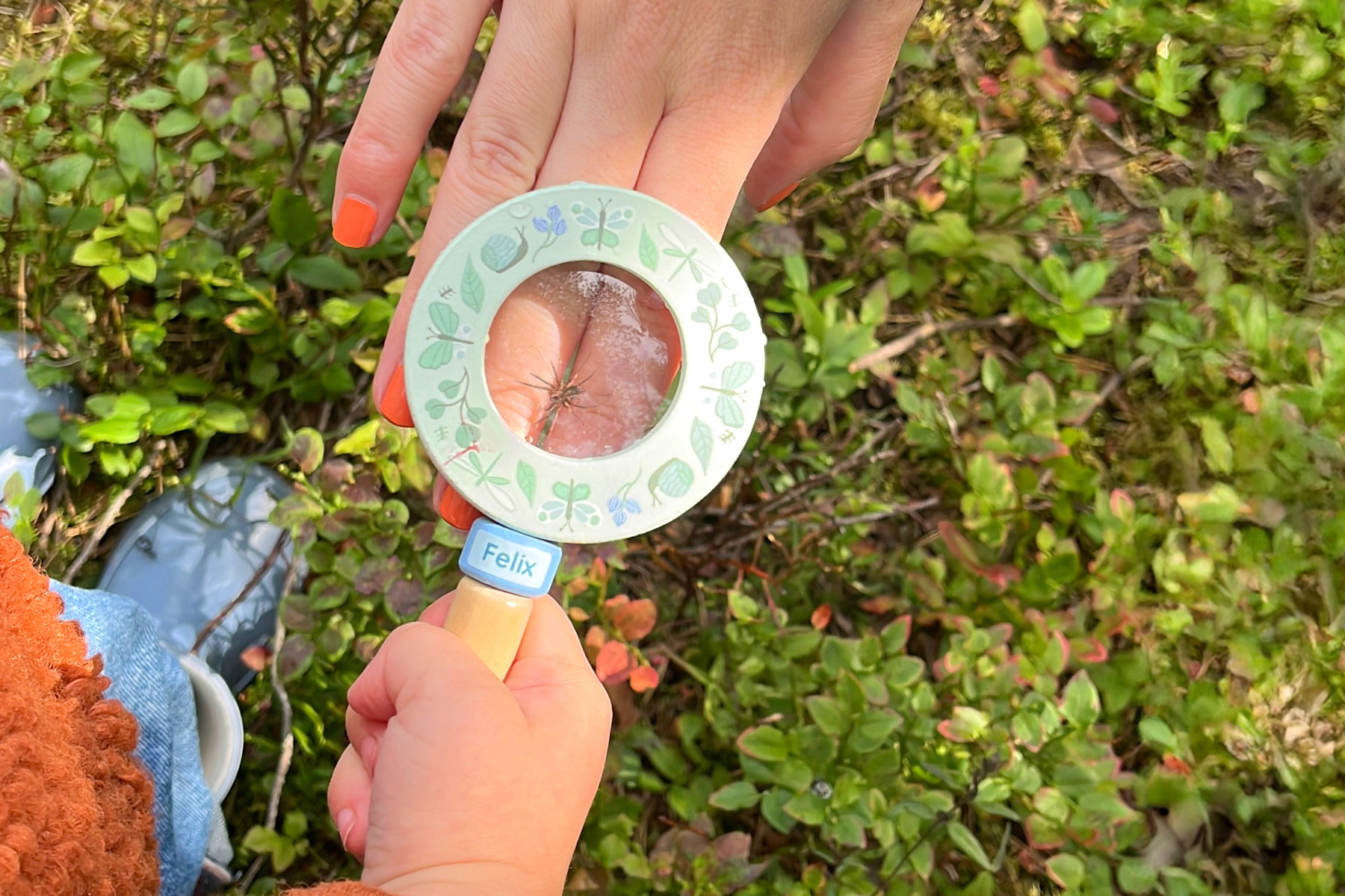 Kids using a magnifying glass to explore the forest floor 